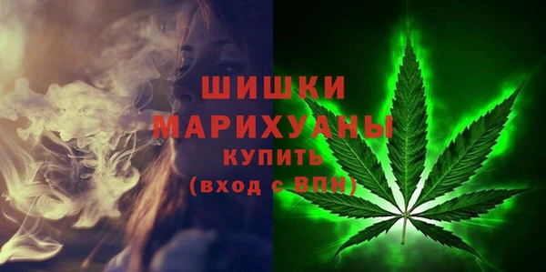 стаф Балахна