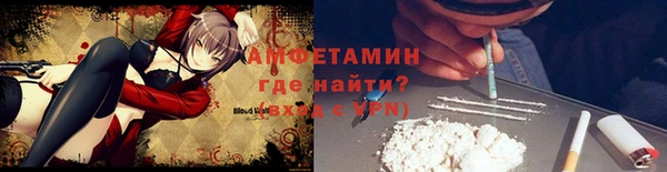 МДПВ Каменка