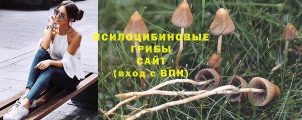 стаф Балахна