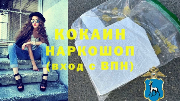 стаф Балахна