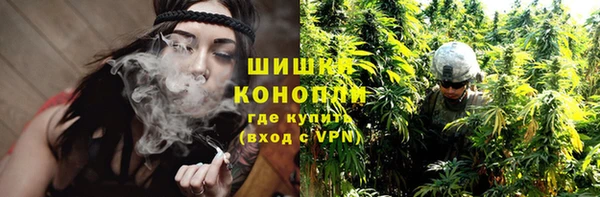 стаф Балахна