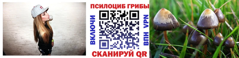 Псилоцибиновые грибы прущие грибы Петушки