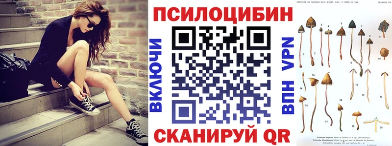 Галлюциногенные грибы Psilocybe Петушки